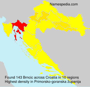 Brncic Brncic