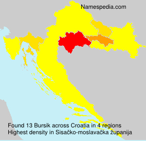 Bursik Bursik