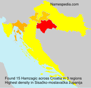 Hamzagic Hamzagic