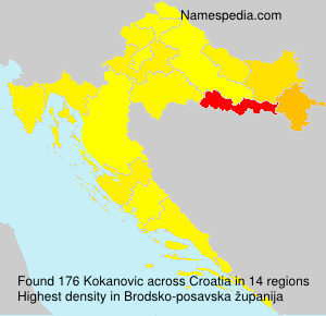 Kokanovic Kokanovic