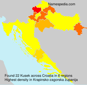 Kusek Kusek