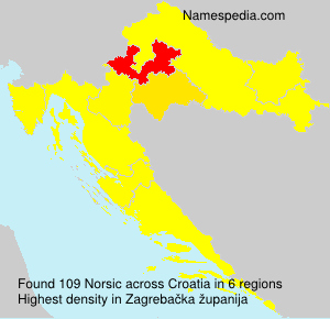 Norsic Norsic