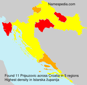 Pripuzovic Pripuzovic