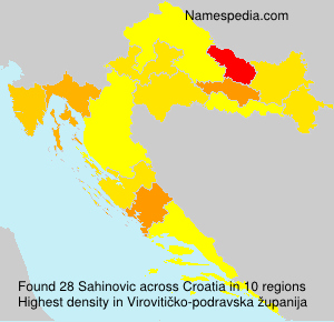Sahinovic Sahinovic