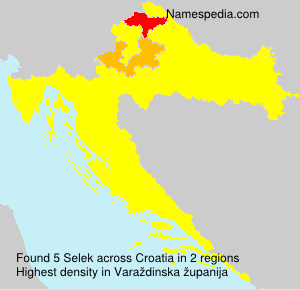 Selek Selek