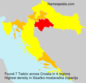 Tadzic Tadzic