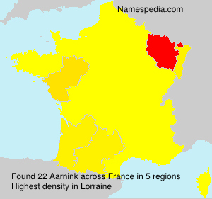 Surname Aarnink in France Surname Aarnink in France