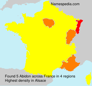 Surname Abidon in France