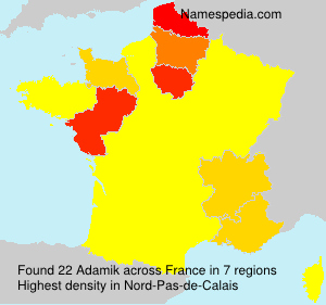 Adamik Adamik