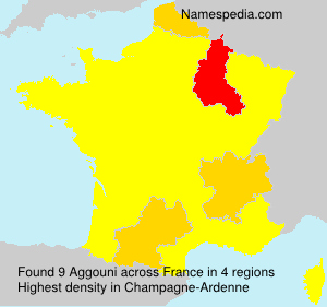 Aggouni Aggouni