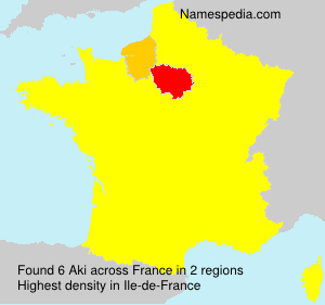 Surname Aki in France Surname Aki in France