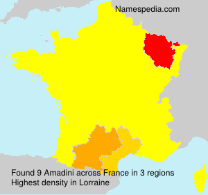 Surname Amadini in France