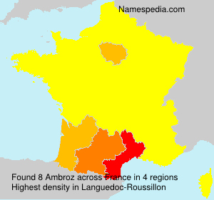 Surname Ambroz in France