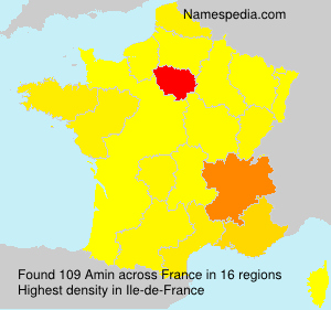 Surname Amin in France Surname Amin in France