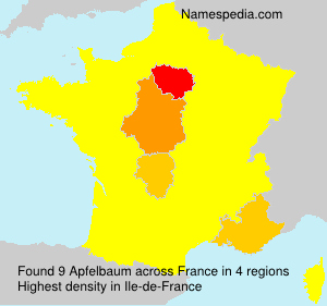 Surname Apfelbaum in France Surname Apfelbaum in France