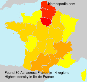 Api Api