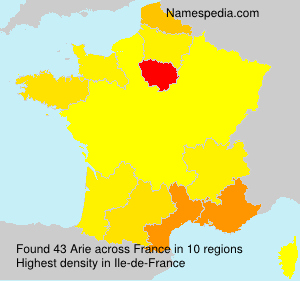 Surname Arie in France