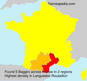 Surname Baggini in France Surname Baggini in France