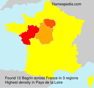 Surname Bagrin in France