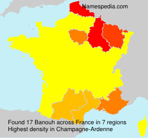 Surname Banouh in France
