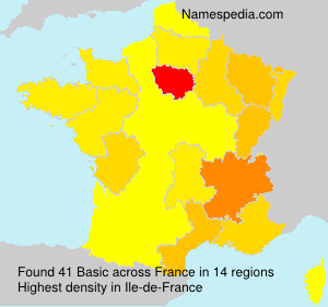 Surname Basic in France Surname Basic in France