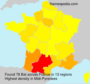 Bat Bat