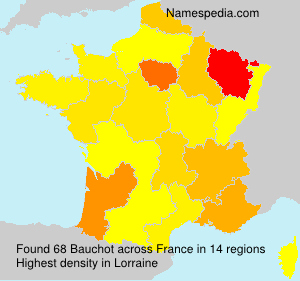Surname Bauchot in France Surname Bauchot in France