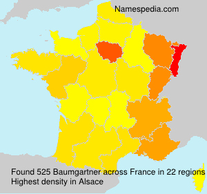 Surname Baumgartner in France Surname Baumgartner in France