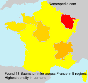 Surname Baumstummler in France Surname Baumstummler in France