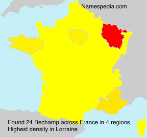 Surname Bechamp in France Surname Bechamp in France