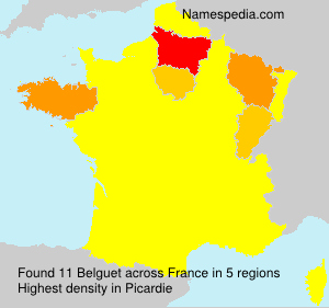 Surname Belguet in France