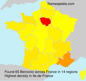 Surname Bercovici in France Surname Bercovici in France