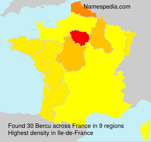 Surname Bercu in France Surname Bercu in France