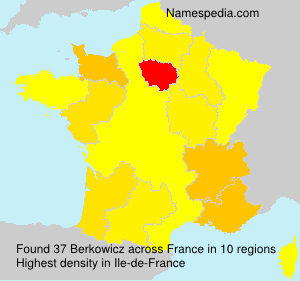 Surname Berkowicz in France Surname Berkowicz in France