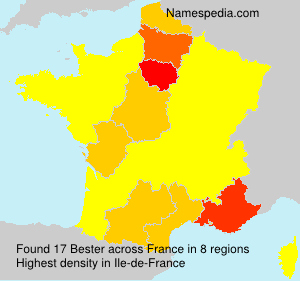 Surname Bester in France Surname Bester in France