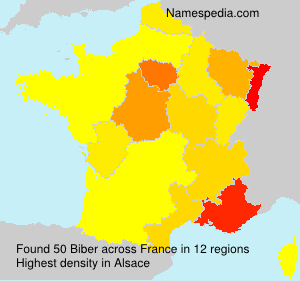 Surname Biber in France Surname Biber in France