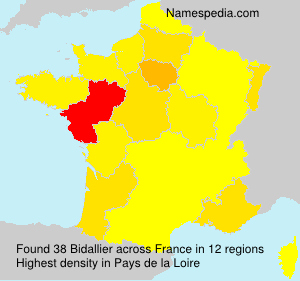 Surname Bidallier in France Surname Bidallier in France