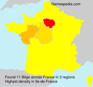 Surname Bilge in France Surname Bilge in France