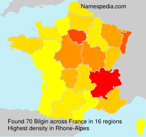 Surname Bilgin in France Surname Bilgin in France