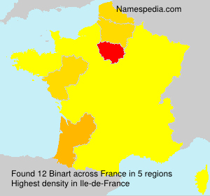 Surname Binart in France