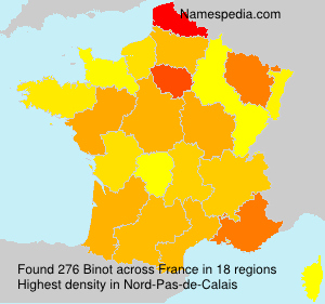 Surname Binot in France