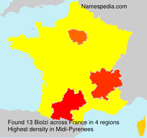 Surname Biolzi in France Surname Biolzi in France