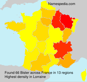 Surname Bister in France