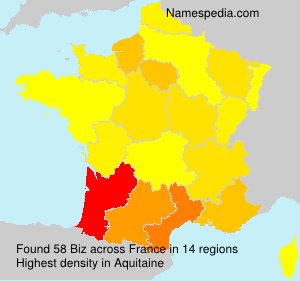 Surname Biz in France Surname Biz in France