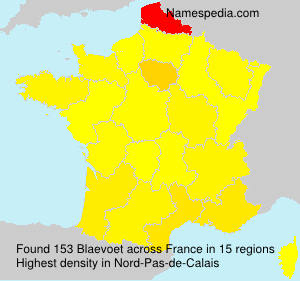 Surname Blaevoet in France Surname Blaevoet in France