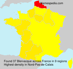 Surname Blervacque in France