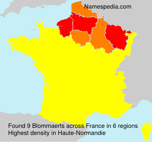 Surname Blommaerts in France Surname Blommaerts in France