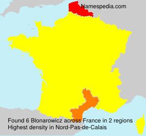 Surname Blonarowicz in France Surname Blonarowicz in France