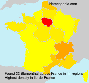 Surname Blumenthal in France Surname Blumenthal in France