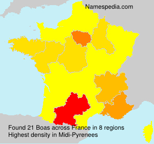 Surname Boas in France Surname Boas in France